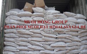 Phân phối muối hạt Himalaya giá rẻ trên toàn quốc
